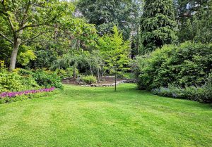 Optimiser l'expérience du jardin à Evaux-et-Menil